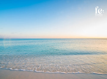 A veces la fuerza se disfraza de calma