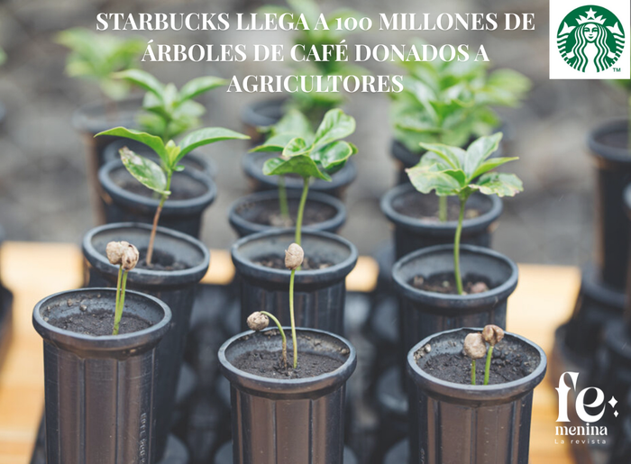 Starbucks llega a 100 millones de árboles de café donados a agricultores para apoyar el futuro del café