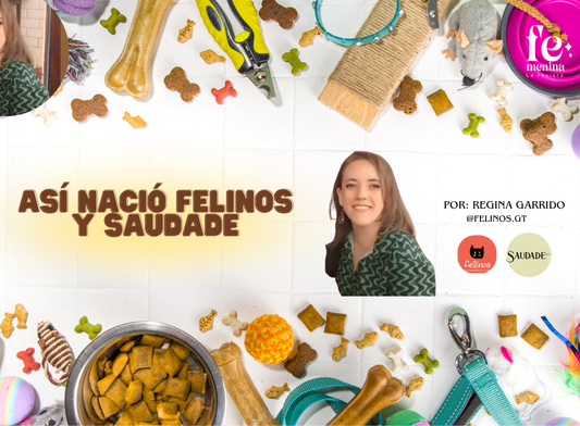 “Del amor a la familia al amor por los Mixis: Así nació Felinos y Saudade”