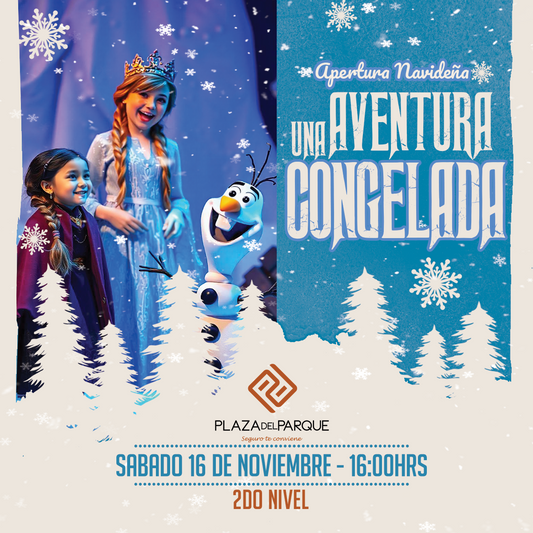 LA MAGIA DE LA NAVIDAD LLEGA A PLAZA DEL PARQUE