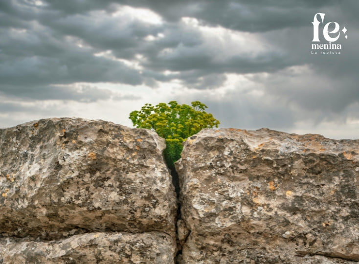 LIDERAZGO RESILIENTE