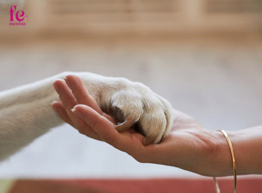 La despedida de nuestra mascota