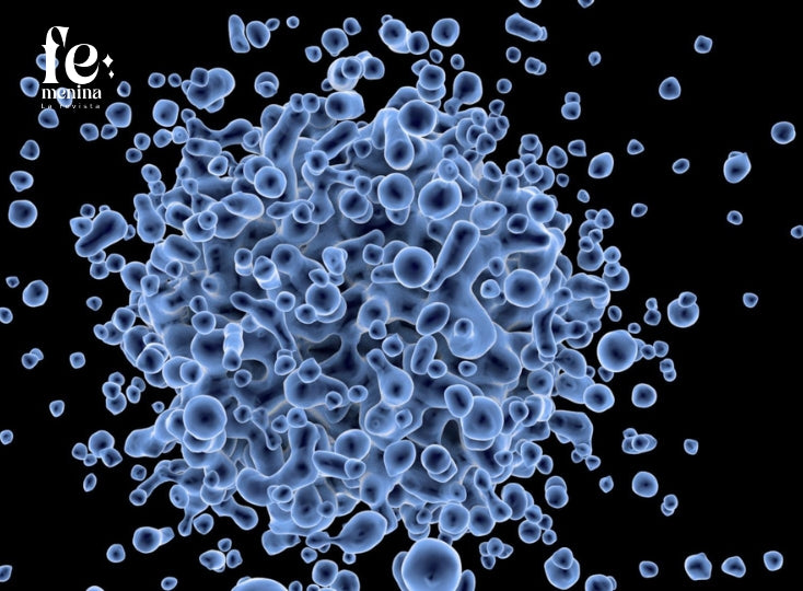 Microquimerismo: Cuando otro ser vive dentro de ti