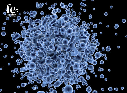 Microquimerismo: Cuando otro ser vive dentro de ti