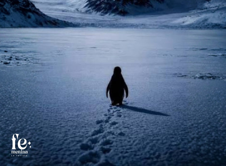 El pingüino que caminó hacia la montaña: elegir tu ruta también es amor