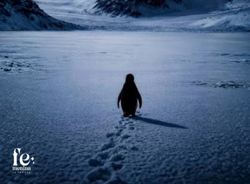 El pingüino que caminó hacia la montaña: elegir tu ruta también es amor