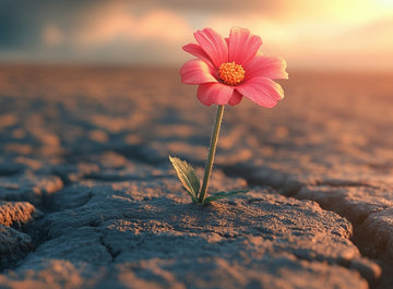 Resiliencia: Renacer después de la tormenta