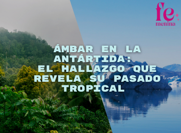 Ámbar en la Antártida: el hallazgo que revela su pasado tropica