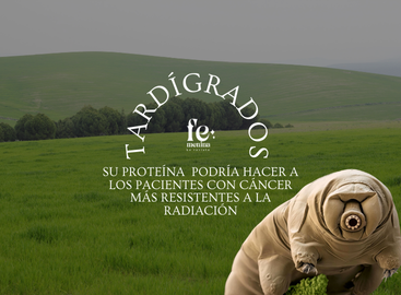 La proteína de los tardígrados que podría hacer a los pacientes con cáncer más resistentes a la radiación