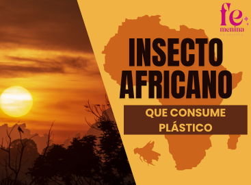 El Insecto Africano Que Come Plástico: Un Aliado en la Lucha Contra la Contaminación