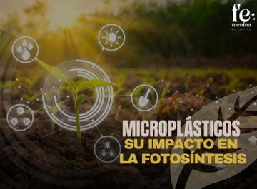 Microplásticos y su Impacto en la Fotosíntesis: Una Crisis Silenciosa Que Amenaza la Seguridad Alimentaria